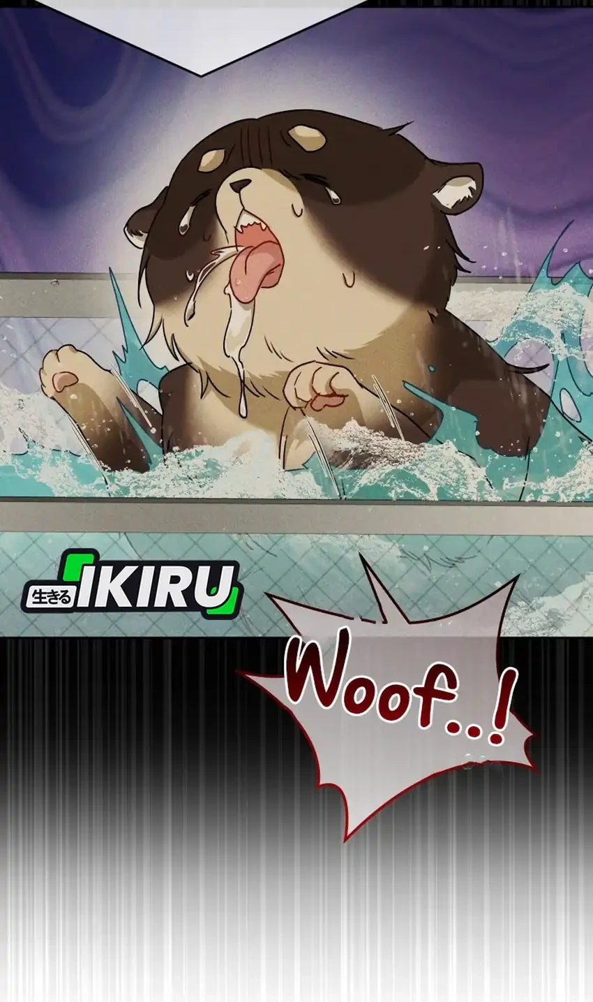 Hello? Veterinarian! Chapter 128 Gambar 28