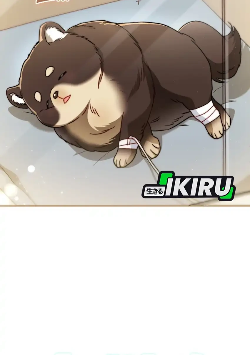 Hello? Veterinarian! Chapter 129 Gambar 24