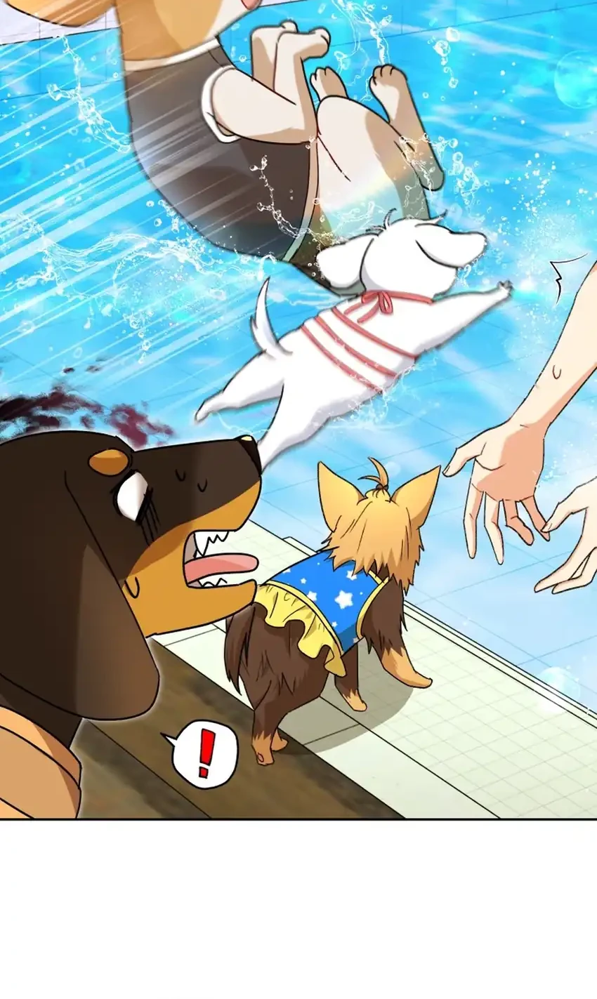 Hello? Veterinarian! Chapter 129 Gambar 28