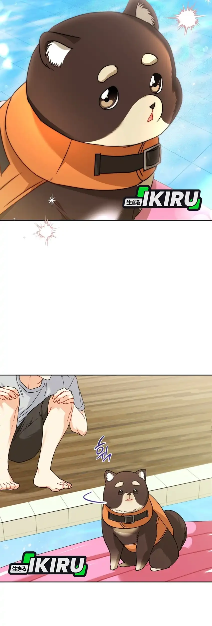 Hello? Veterinarian! Chapter 130 Gambar 41