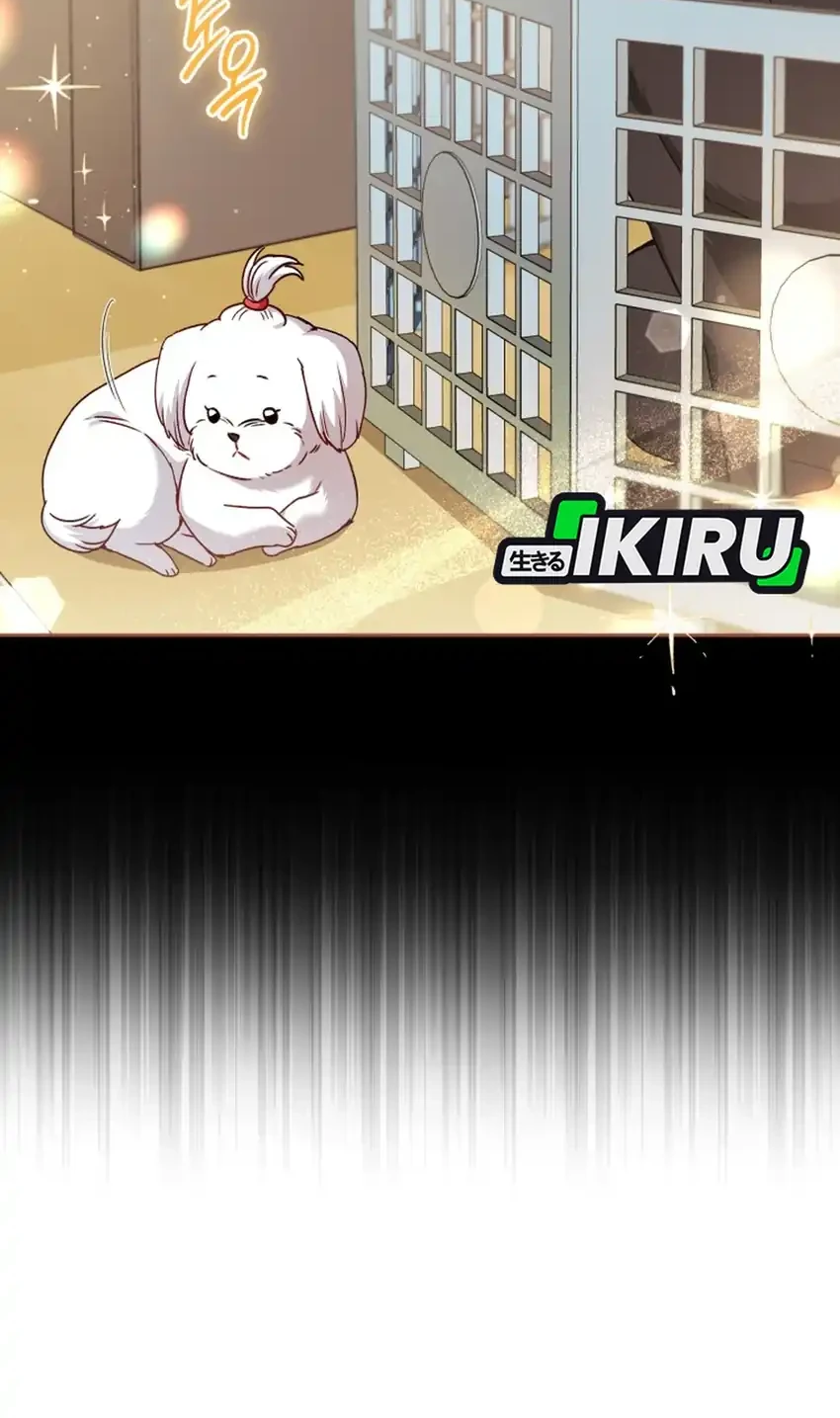 Hello? Veterinarian! Chapter 145 Gambar 32