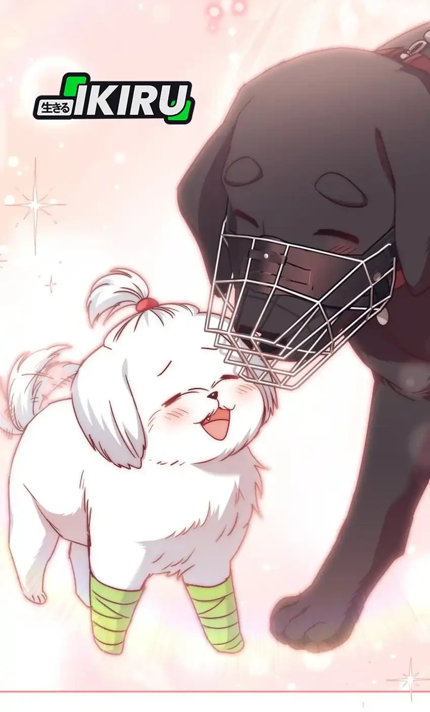 Hello? Veterinarian! Chapter 145 Gambar 52
