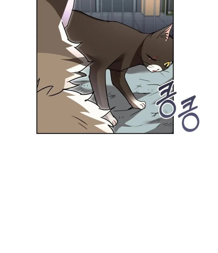 Hello? Veterinarian! Chapter 146 halaman 43