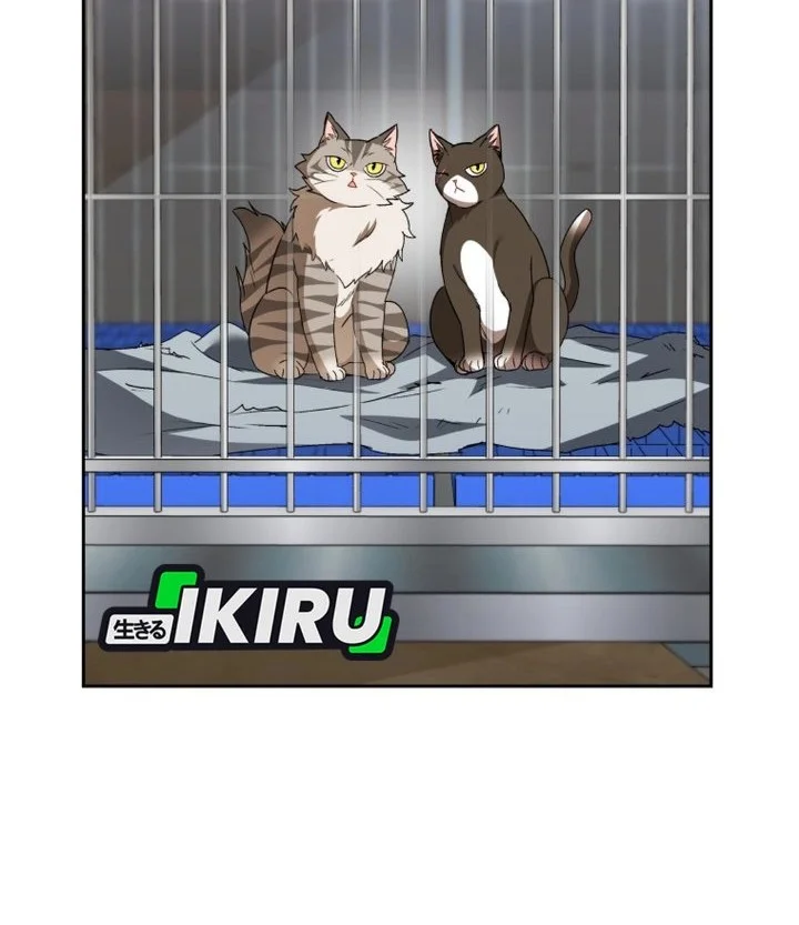 Hello? Veterinarian! Chapter 146 Gambar 47