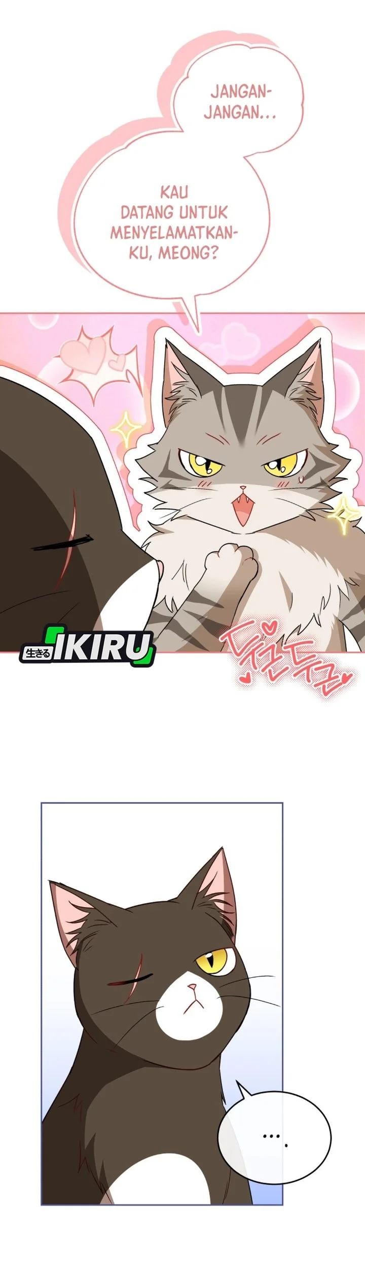 Hello? Veterinarian! Chapter 146 halaman 11