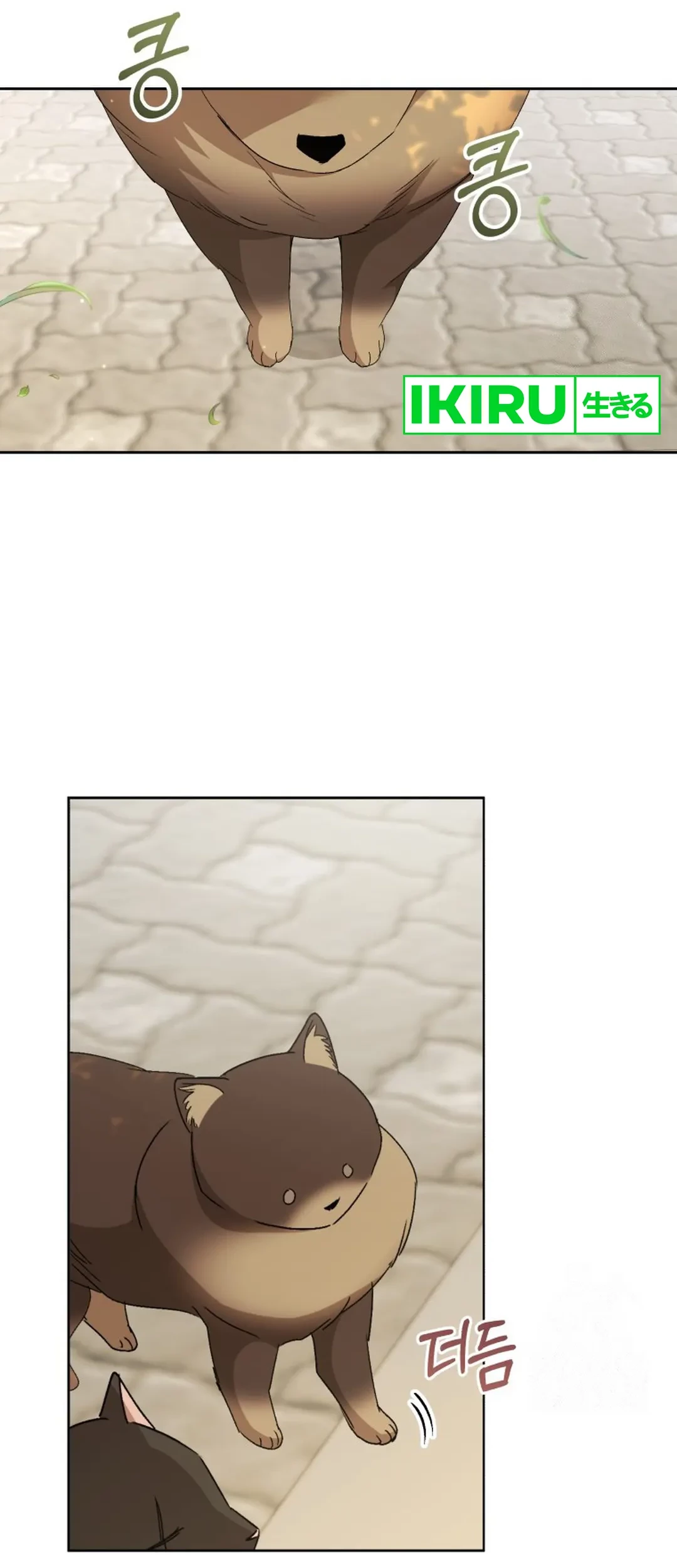 Hello? Veterinarian! Chapter 91 Gambar 53
