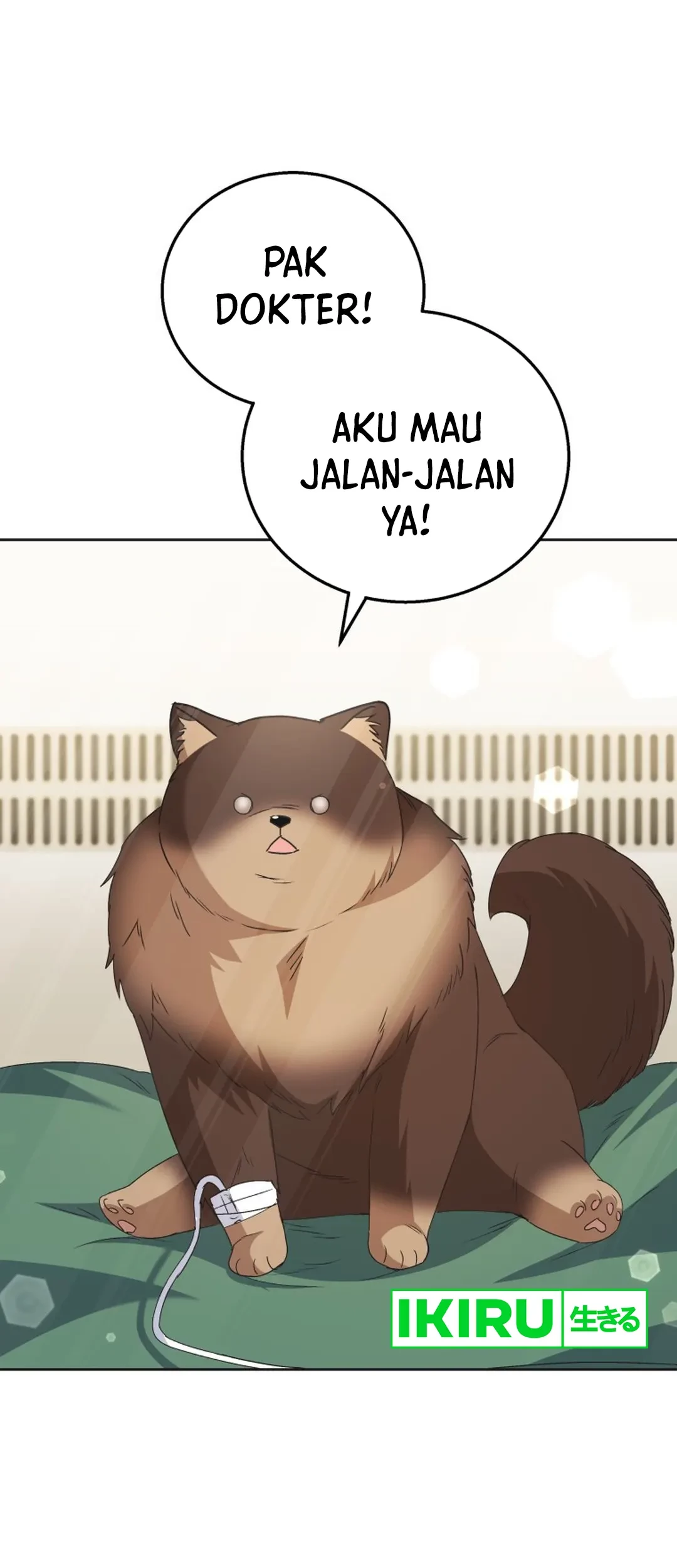 Baca Manhwa Hello? Veterinarian! Chapter 91 Gambar 2