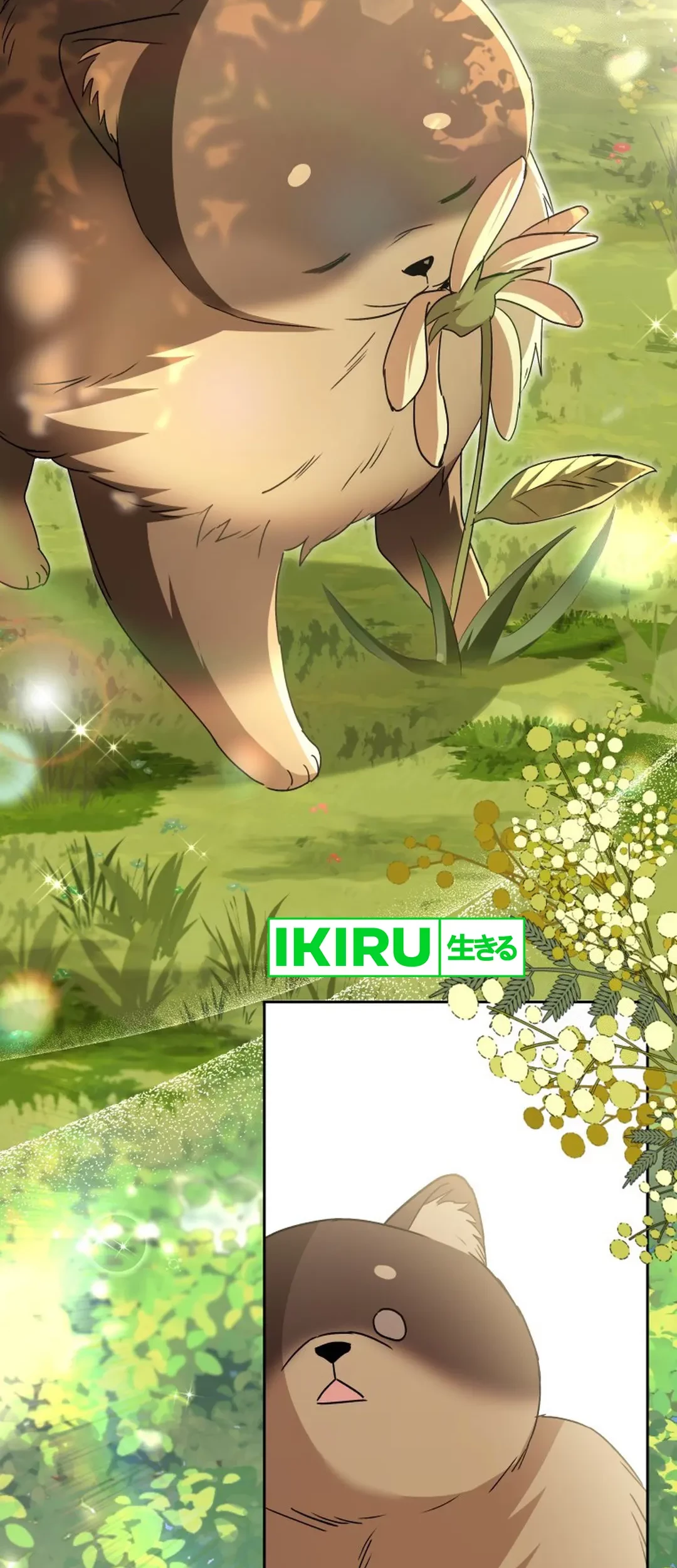Hello? Veterinarian! Chapter 91 Gambar 13