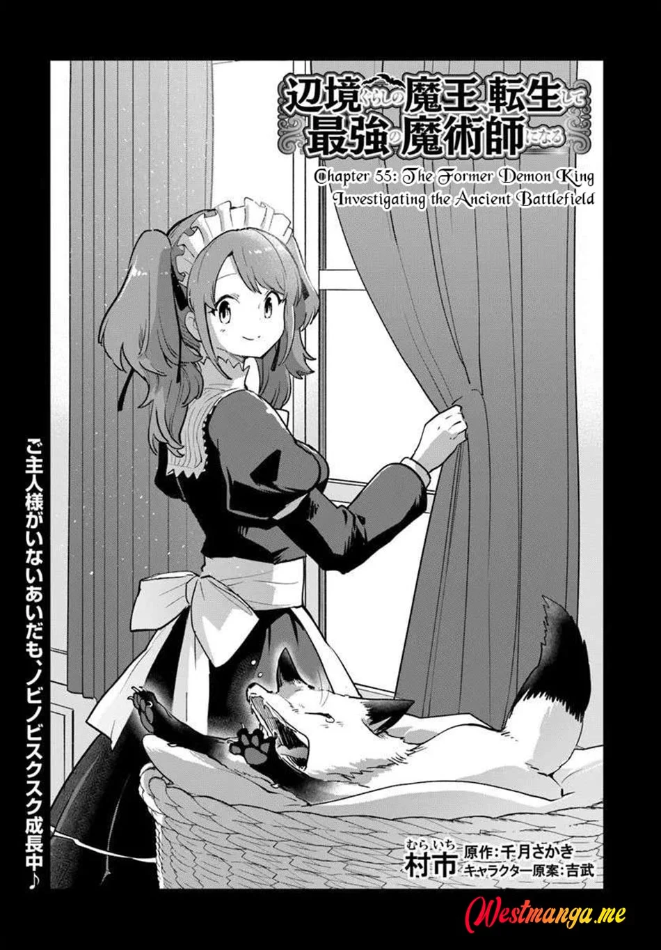 henkyou gurashi no maou tensei shite saikyou no majutsushi ni naru 〜aisarenagara nariagaru moto mao wa ningen o shiritai〜 chapter 55 - Page 3