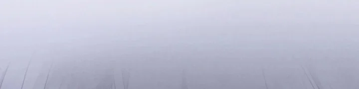 High School Musical Genius Is Paganini Reincarnated Chapter 78 Gambar 37