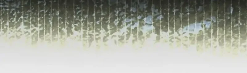 hu tao becomes a surgeon chapter 50 - Page 63