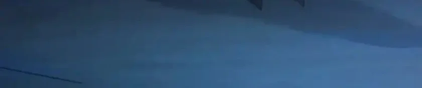 I Became an Evolving Space Monster Chapter 41 Gambar 41