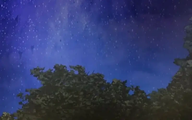 i became the berserker of the world i created chapter 8 - Page 125