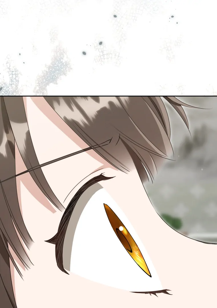 I Became the Despised Granddaughter of the Murim Family Chapter 87 Gambar 69