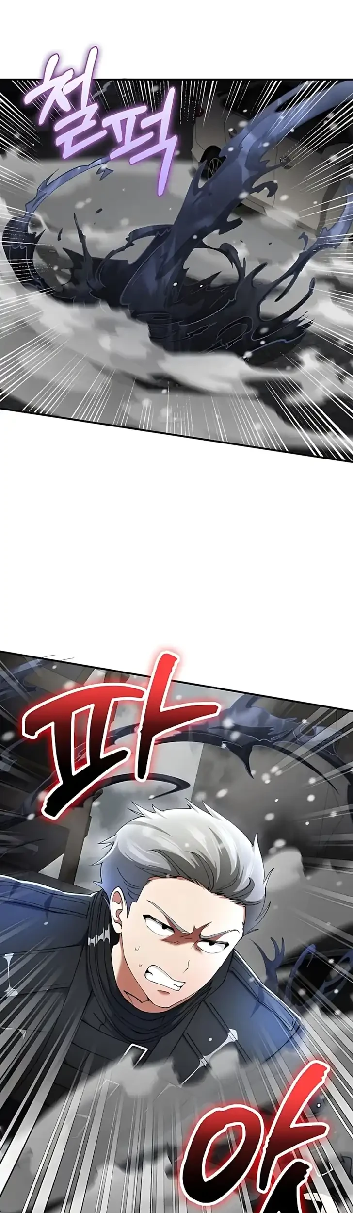 I Became The Villain The Hero Is Obsessed With Chapter 47 Gambar 3