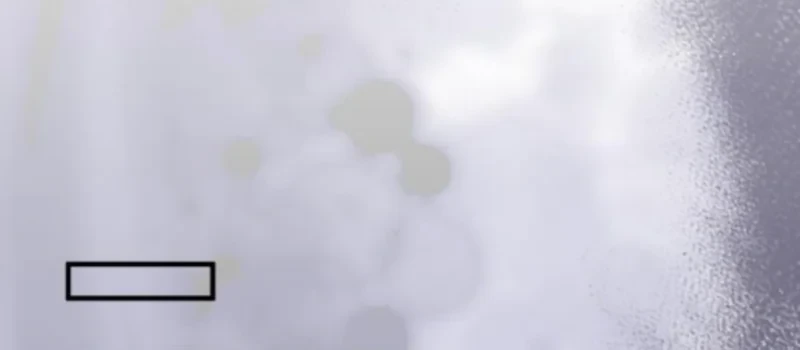 I Become a Legendary ArchMage by Reading a Book Chapter 68 Gambar 50