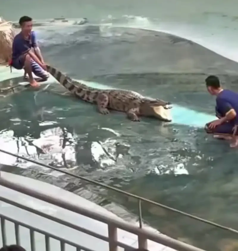 I Build an Industrial Empire on the Magic Continent Chapter 80 Gambar 40