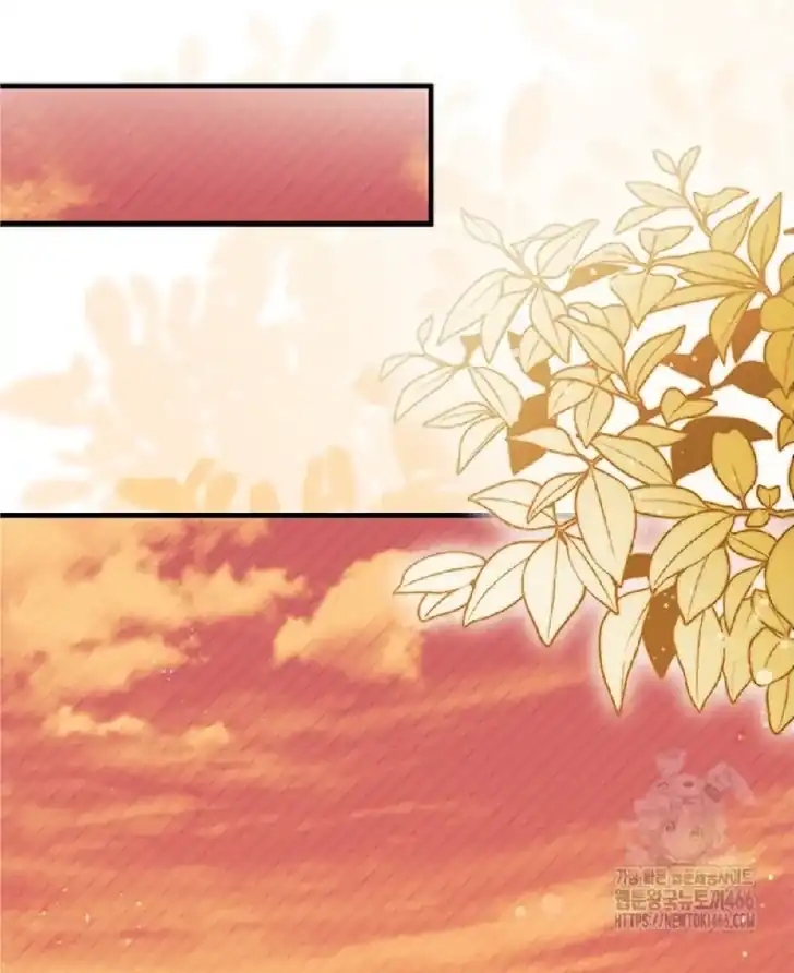 I Don’t Want to Play Matchmaker! Chapter 74 Gambar 109