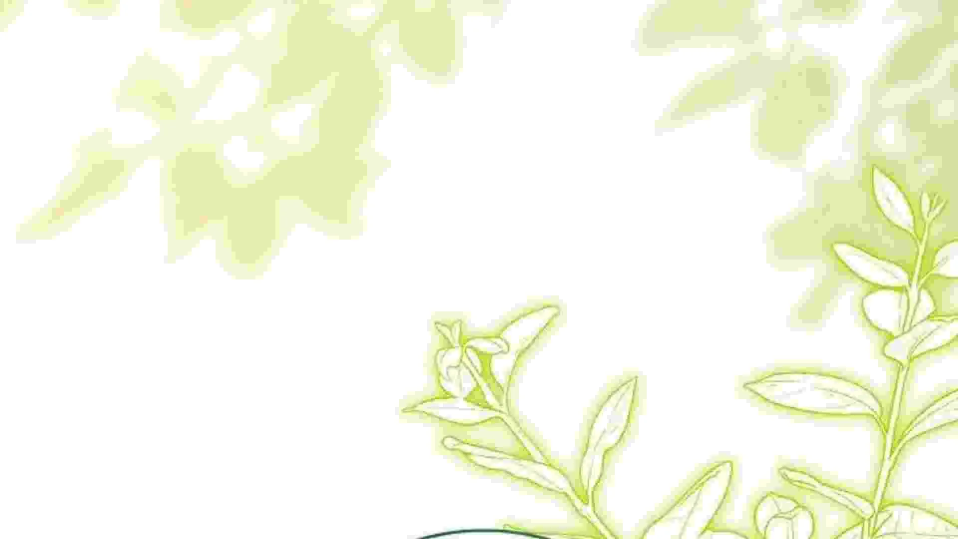 Page 213