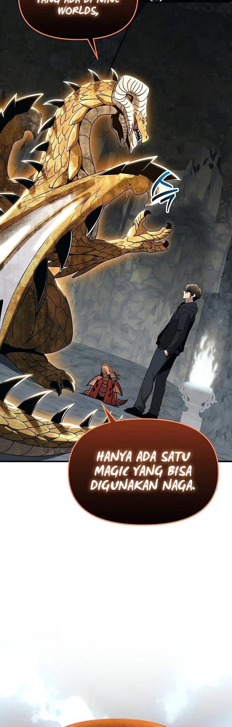 I Obtained a Mythic Item Chapter 164 Gambar 20