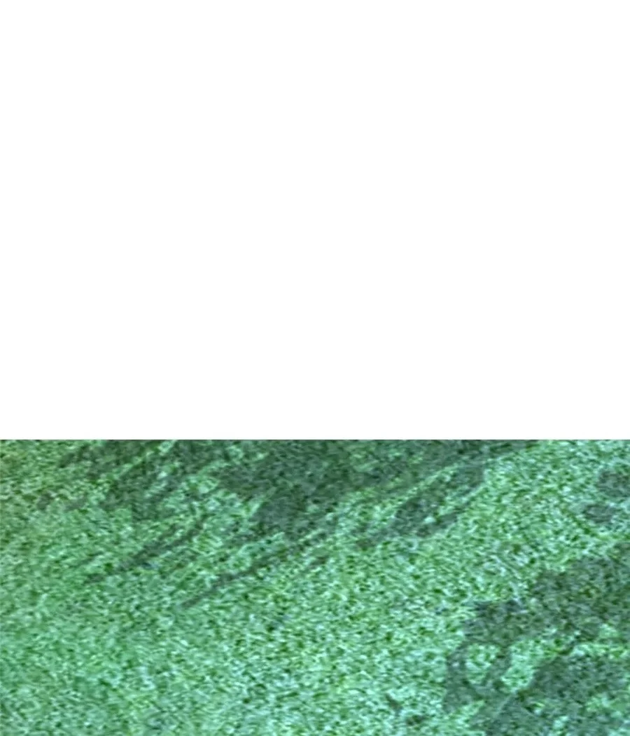 I Randomly Have A New Career Every Week Chapter 812 Gambar 28