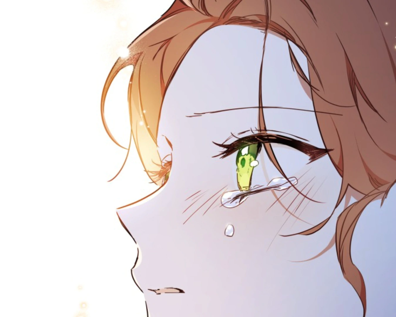 I Shall Master This Family! Chapter 180 Gambar 43