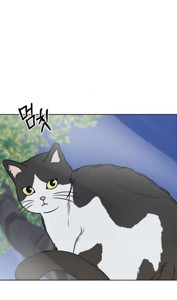 I Want to Trick You Chapter 20 Gambar 68