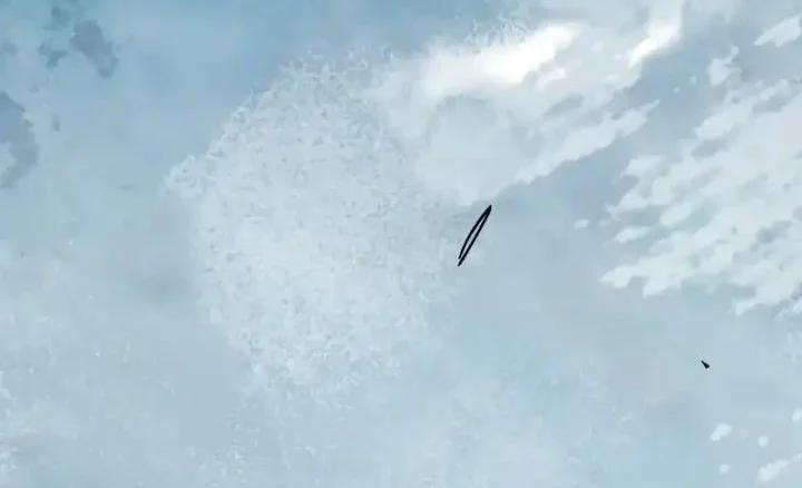 Immortal Fairy, Please Listen to My Explanation Chapter 37 Gambar 44