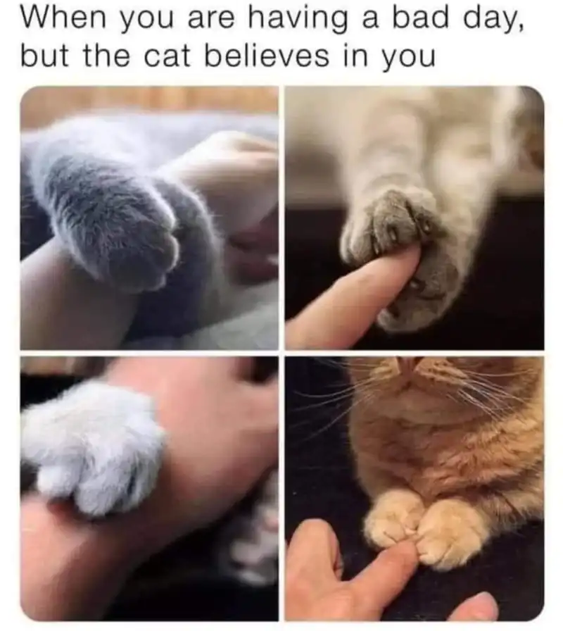 Immortal Simulator: Cultivating in Secret Chapter 18 Gambar 68