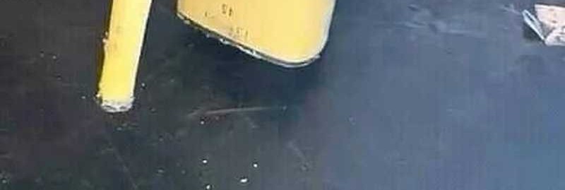 Insector Chapter 53 Gambar 116