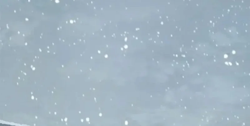 Judge Lee Han Young Chapter 176 Gambar 67