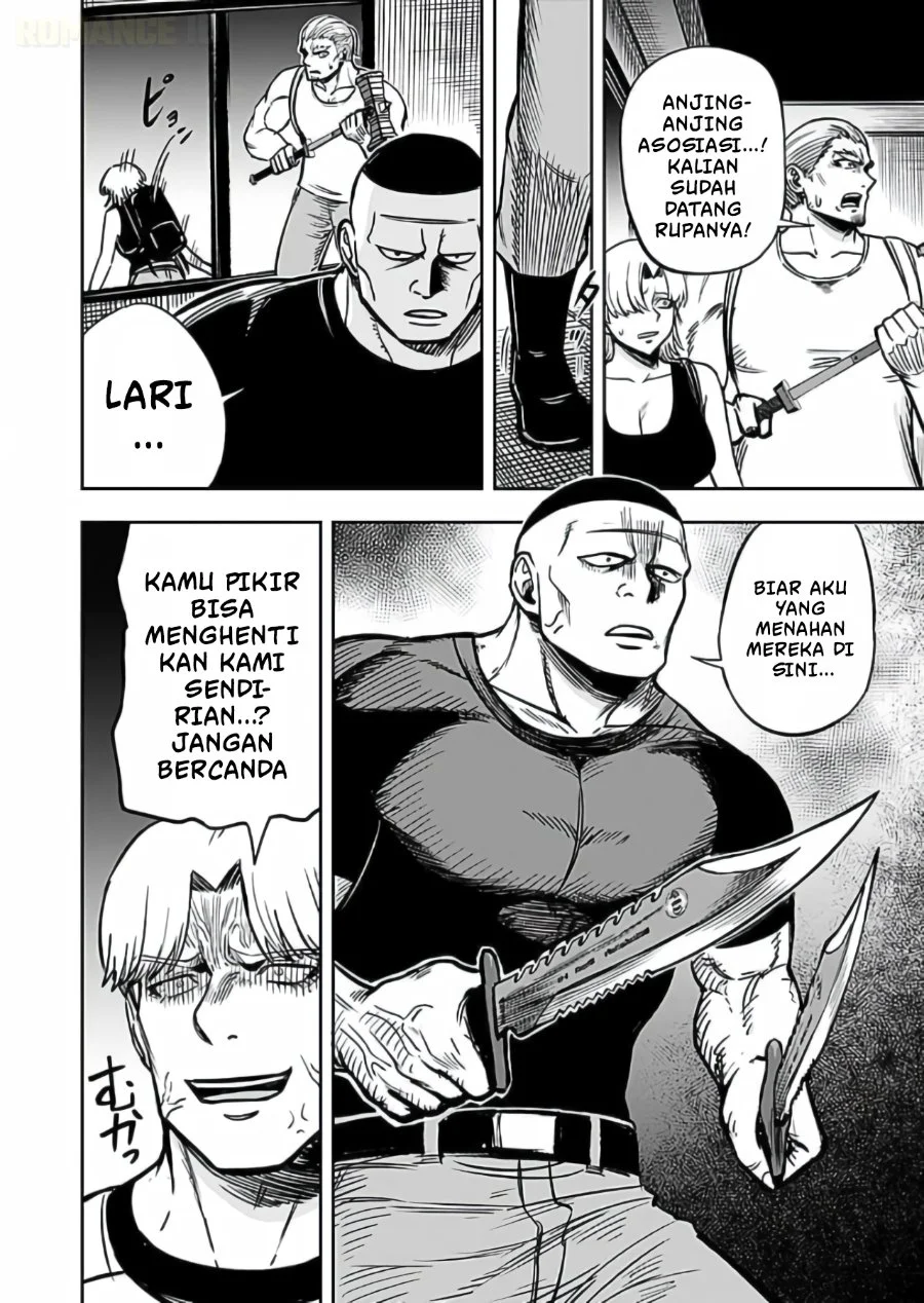 Halaman 17