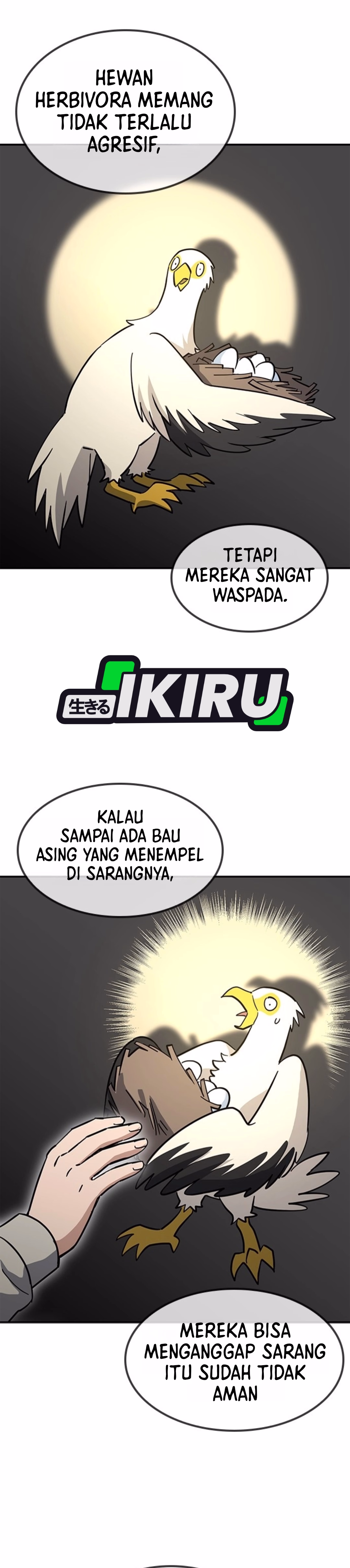 Halaman 11