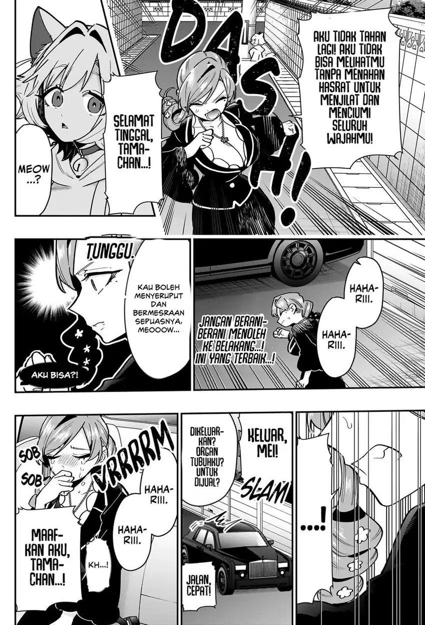 Kimi no Koto ga Dai Dai Dai Dai Daisuki na 100-ri no Kanojo Chapter 147 Gambar 14