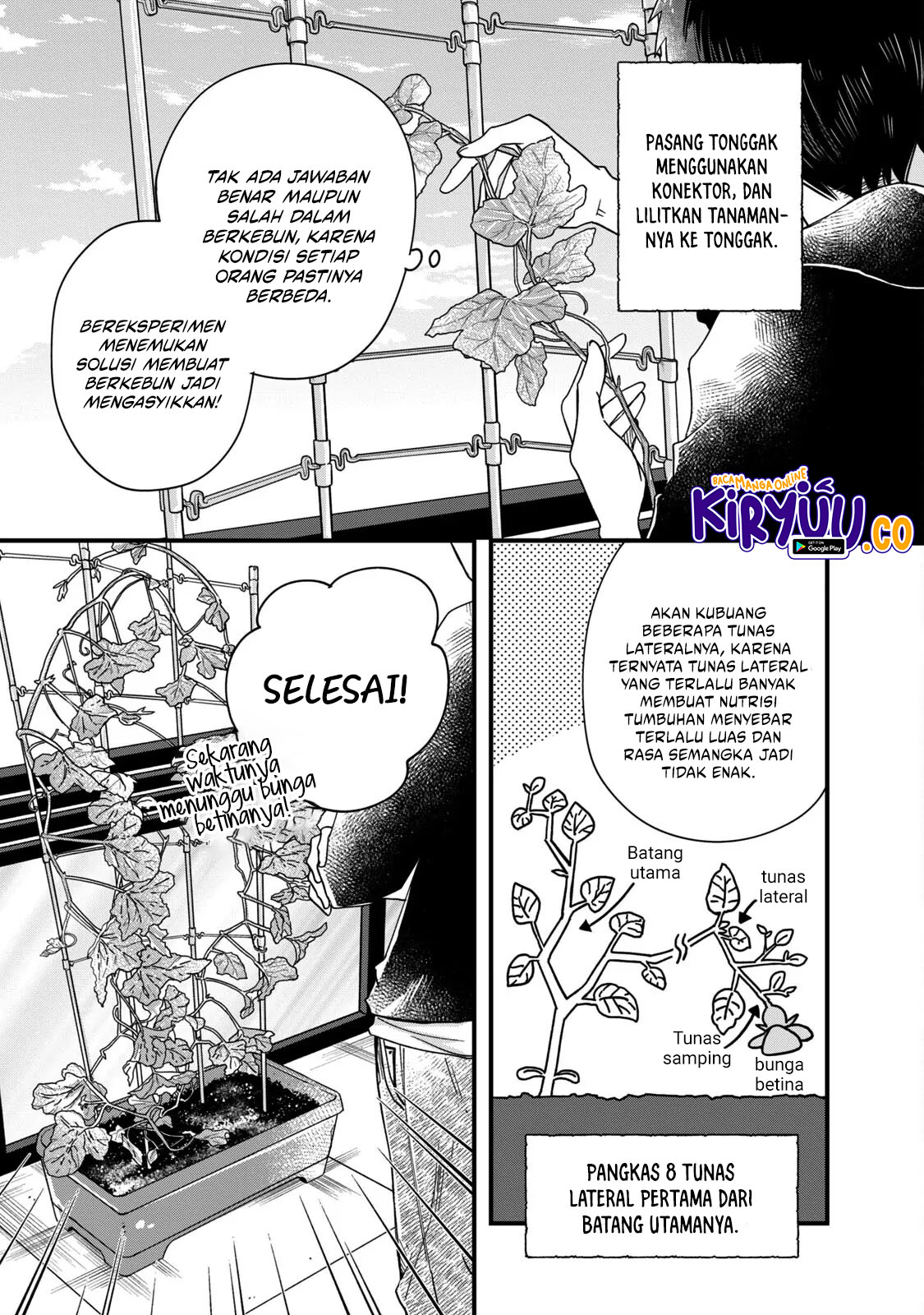 Kyou mo Veranda de Chapter 54 Gambar 3