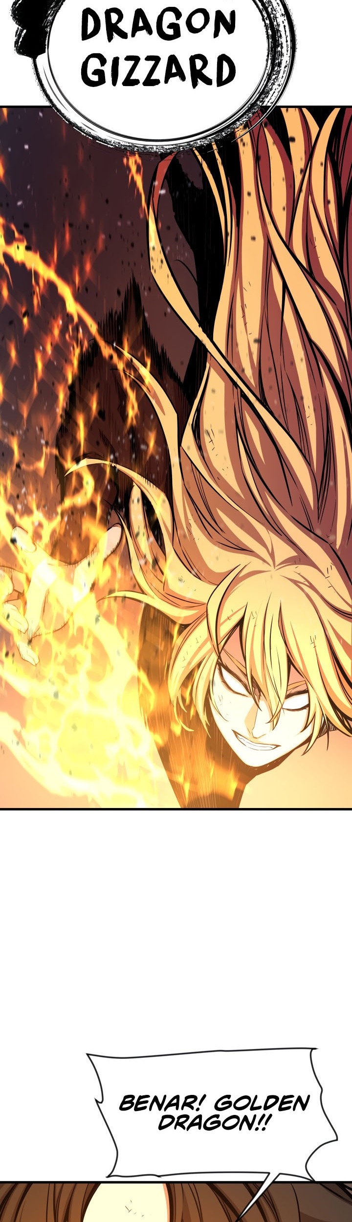 Legend Of Mir Golden Armored Dragon Chapter 48 Gambar 27