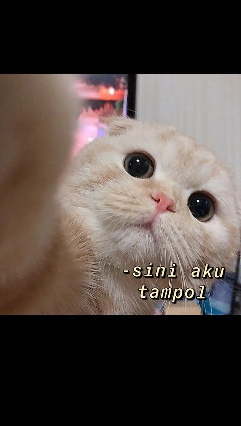 Leveling Up with Skills Chapter 140 Gambar 79