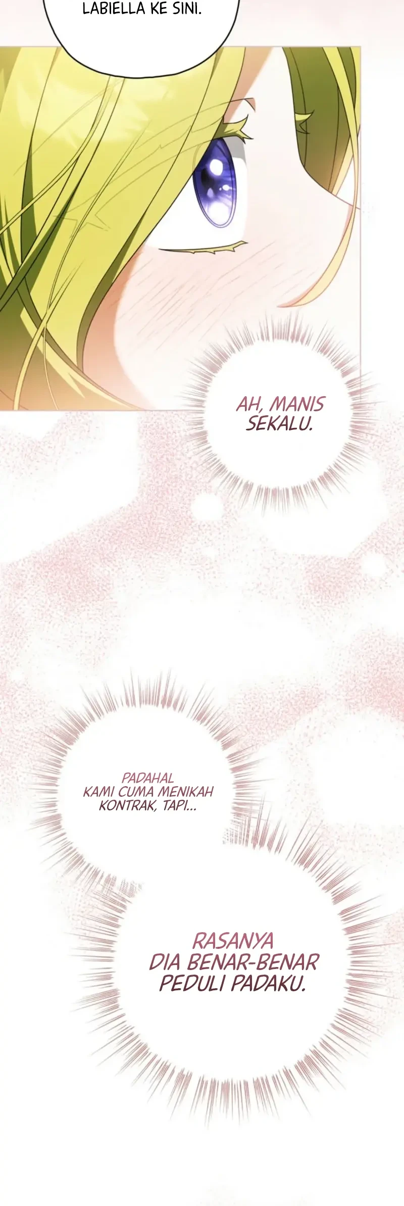 Looking for the Villainess’s Contract Husband Chapter 30 Gambar 63