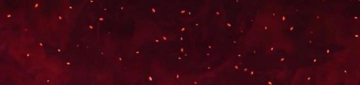 Magic Level 99990000 All-Attribute Great Sage Chapter 127 Gambar 42