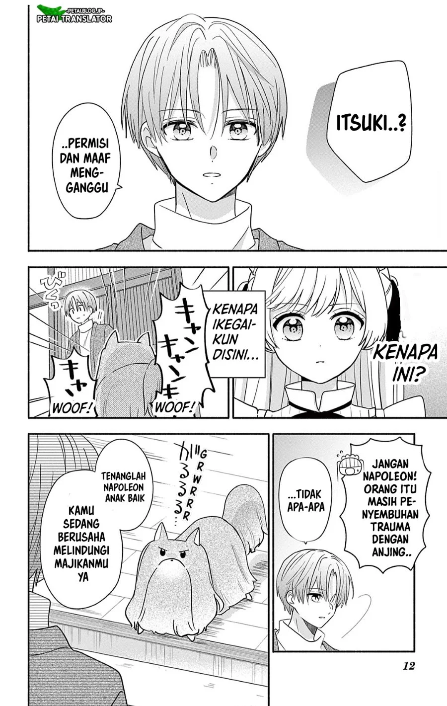 Halaman 12