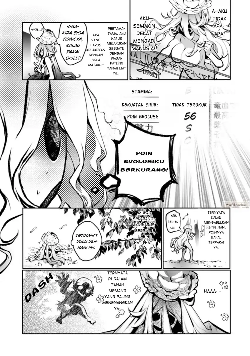 Mandragora tte Baretara Toubatsu desu ka?: Hana no Majo no Hohoemi wa Kanchigai no Tane o Maku Chapter 1 Gambar 36