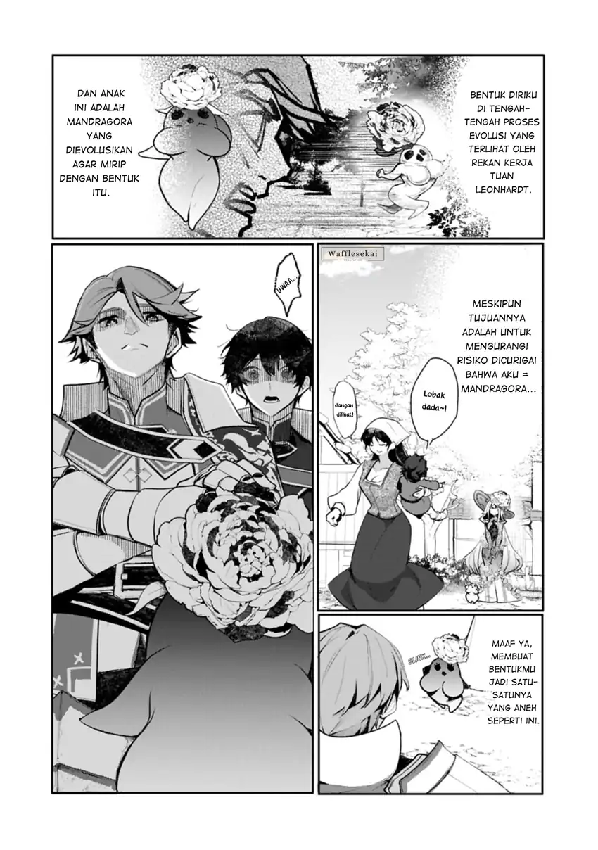 Mandragora tte Baretara Toubatsu desu ka?: Hana no Majo no Hohoemi wa Kanchigai no Tane o Maku Chapter 8.1 Gambar 14