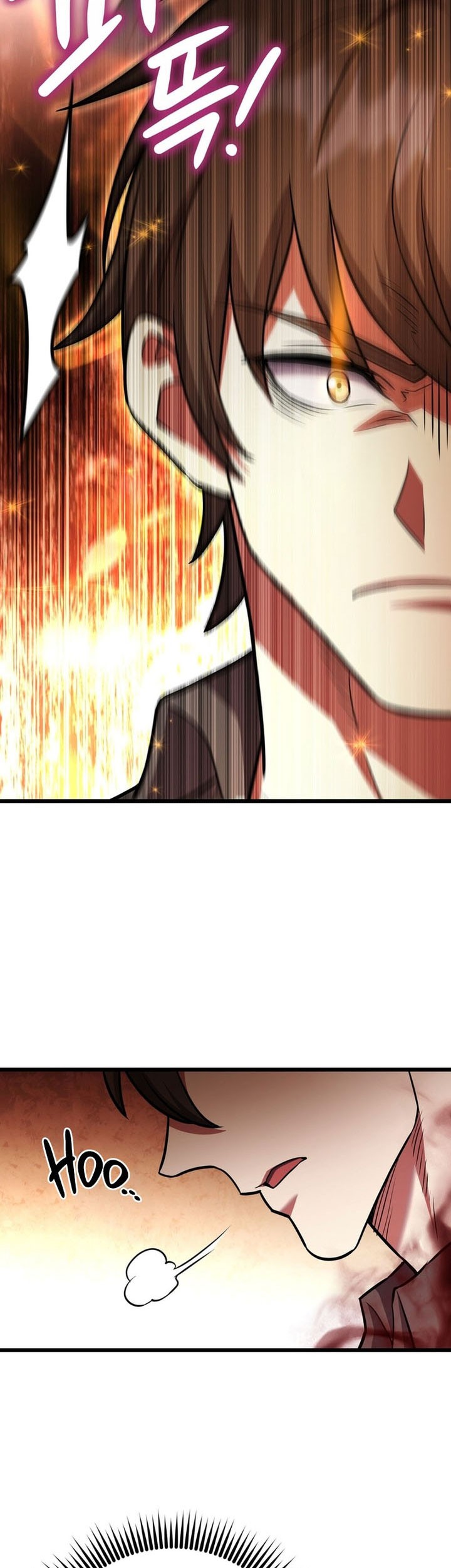 Maxed Out Leveling Chapter 95 Gambar 29