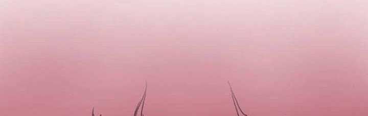 Memoir Of The King Of War Chapter 83 Gambar 20
