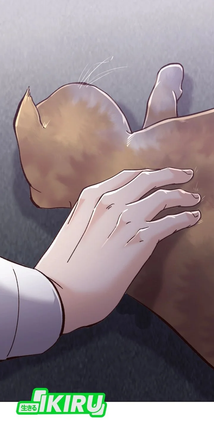 Mirror (Mong-woo) Chapter 8 Gambar 50