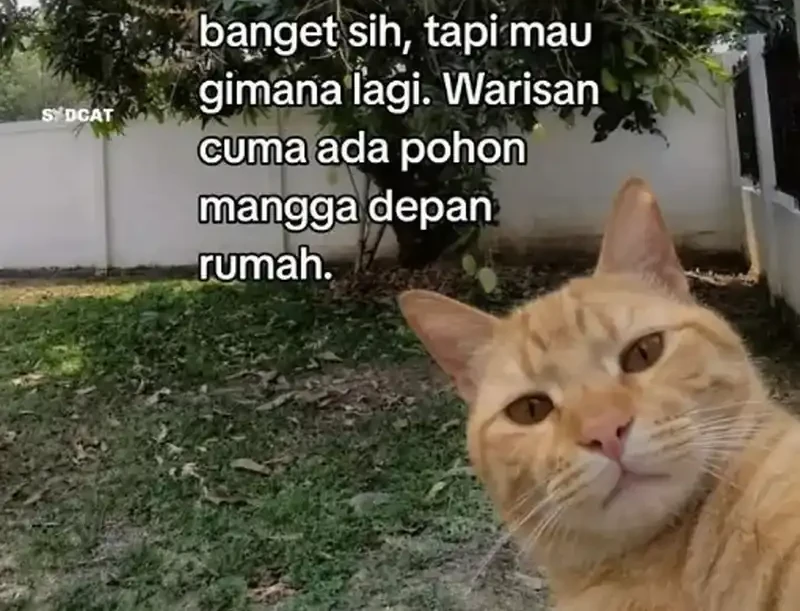 My Academic System Is Making Me Date?! Chapter 32 Gambar 34