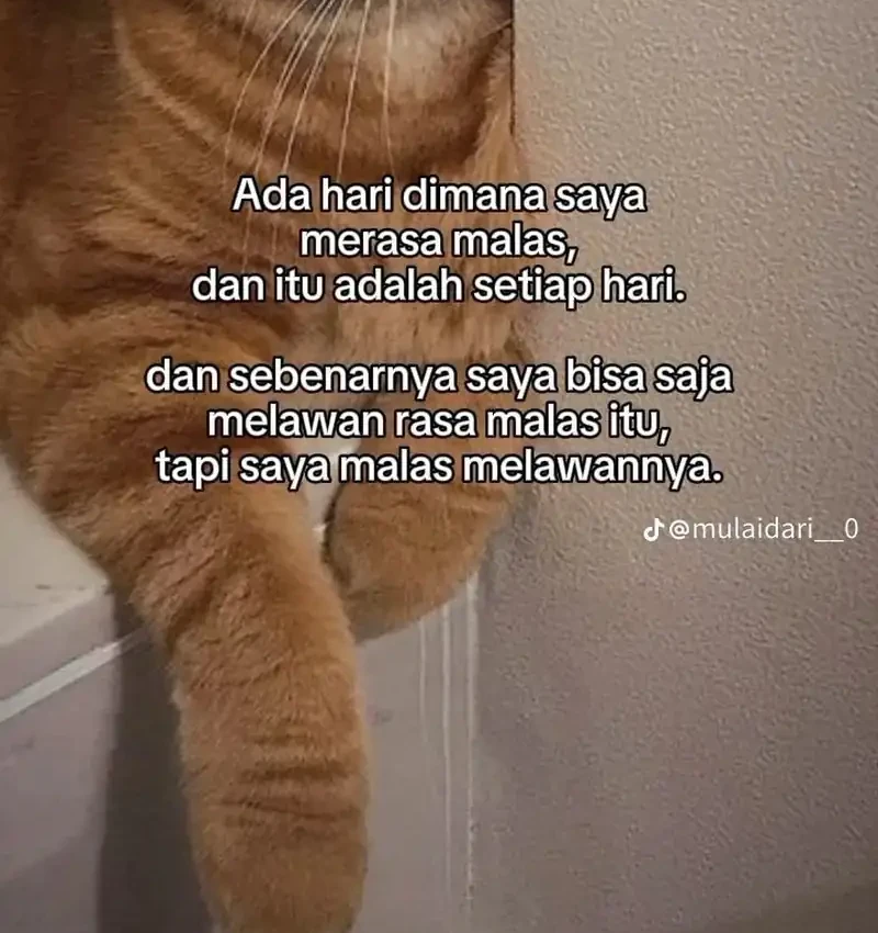 My Wife Is a Heavenly Big Shot Chapter 42 Gambar 44