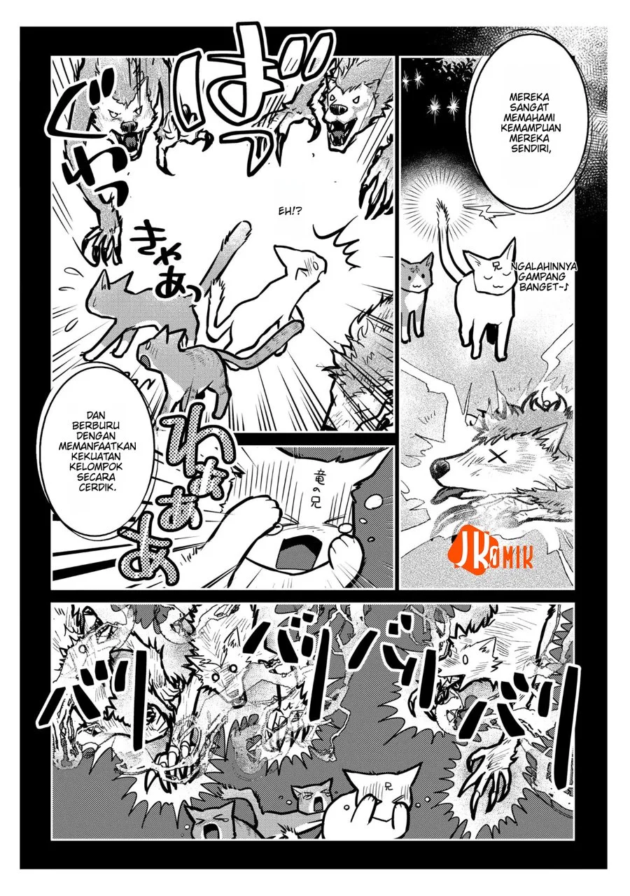 Neko to Ryuu Chapter 11 Gambar 16