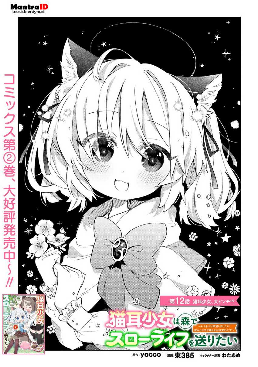 Baca Manga Nekomimi Shoujo wa Mori de Slow Life wo Okuritai: Mofumofu wa Shomou Shimashita ga, Seijo to ka Ouji-sama to ka wa Chuumongai desu Chapter 12.1 Gambar 2