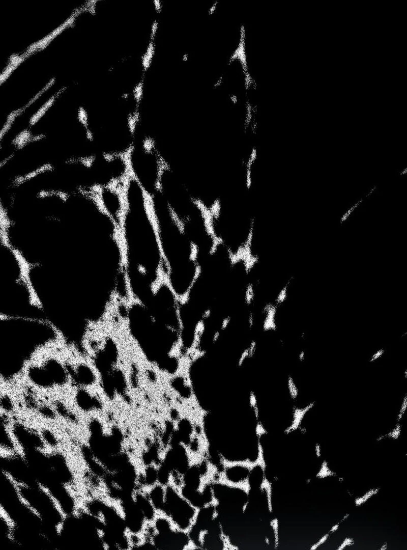 Noble in Name, Vulgar at Heart Chapter 15 Gambar 131